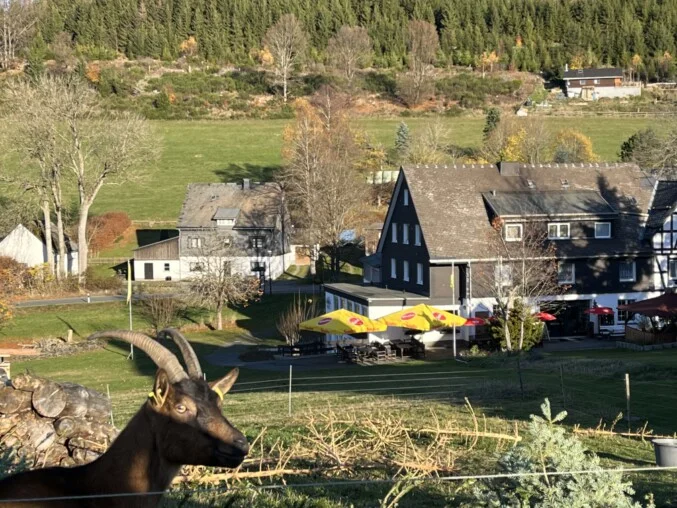 In der Trift 2, 59955 Winterberg-Mollseifen